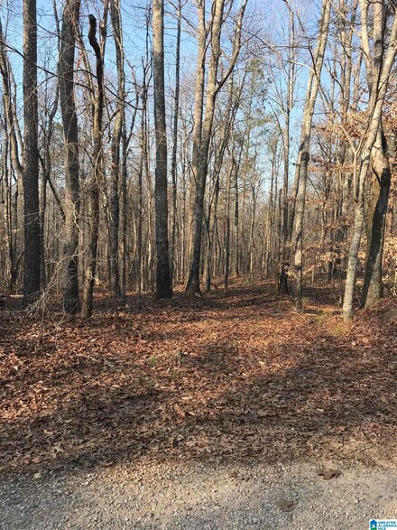 657 County Road 928 Unit 7 & 8, Delta, AL 36258