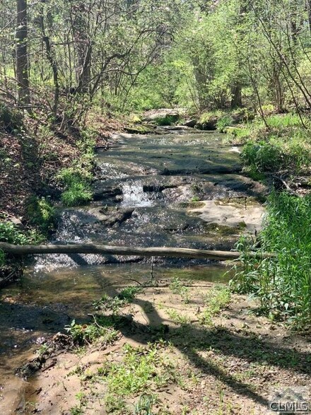 Tract 6 Coile Rd, Comer, GA 30629