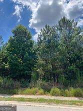 4864 Grandview Ct, Flowery Branch, GA 30542