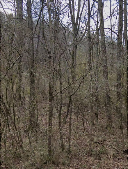 4957 Tranham Rd, Whites Creek, TN 37189