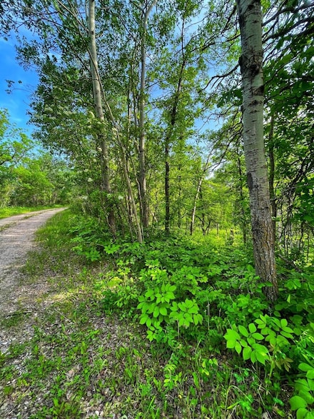 554 Birchwood Heights Unit Lot 12, Bottineau, ND 58318