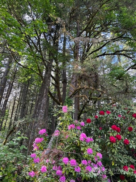 13368 117th Ave NW, Gig Harbor, WA 98329