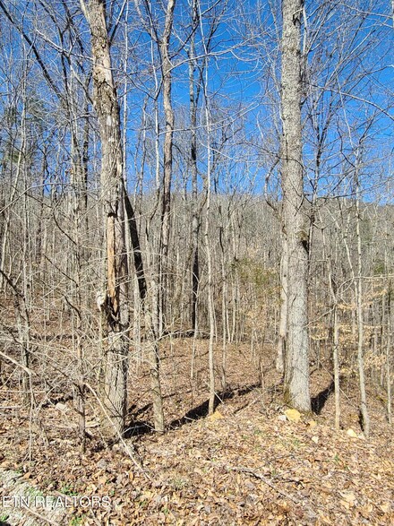 0 Buffalo Cove Ln Unit 1255625, Jamestown, TN 38556