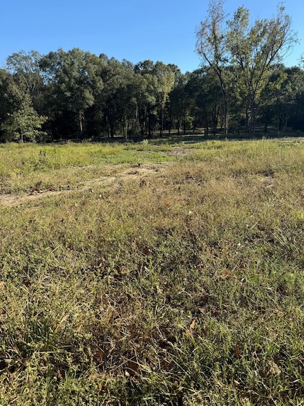 0 Tbd Fm 138, Center, TX 75935