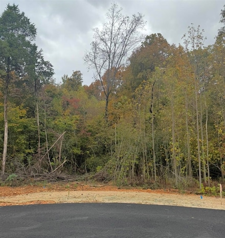 Lot 22 Deer Park, Scottsville, KY 42164