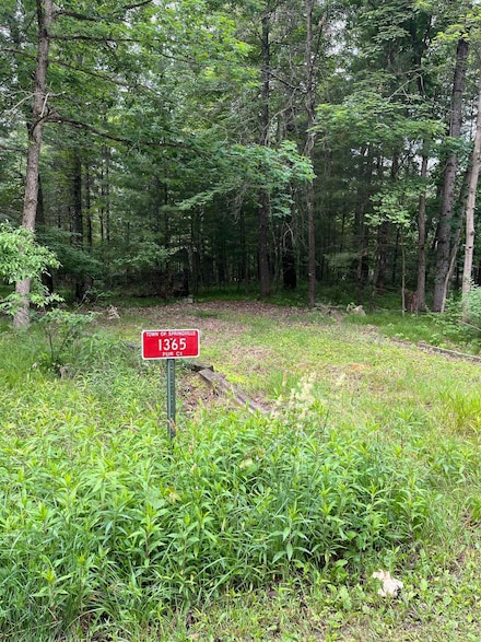 1365 Fur Ct, Wisconsin Dells, WI 53965