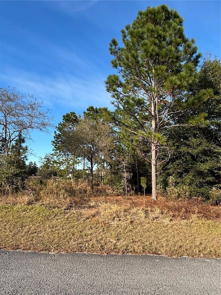 Lot 18 SW 65th Loop, Dunnellon, FL 34432