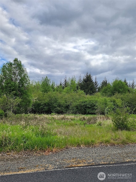 0 Henriot Rd Unit NWM2377129, Toledo, WA 98591