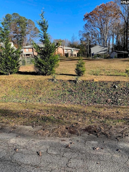 00 Olive Branch Terrace, Batesburg-Leesville, SC 29006