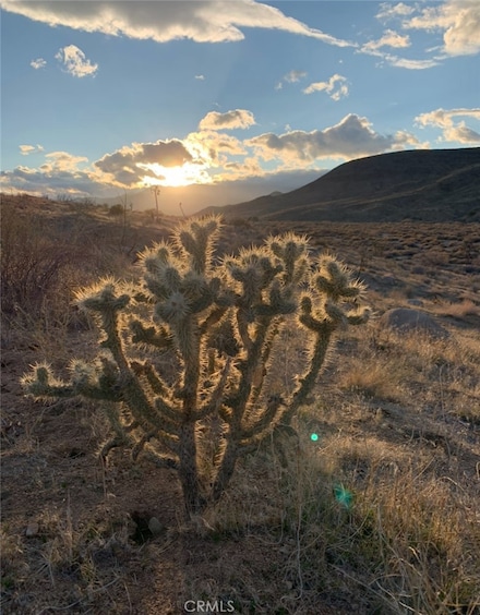 0 E Dr Unit SW25164124, Pioneertown, CA 92268