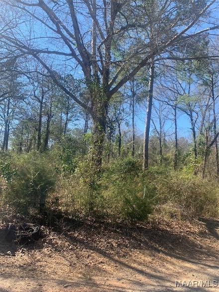0 Derry St, Tallassee, AL 36078