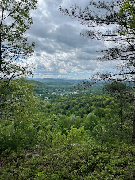 0 Neddo St Unit 20046260, Whitehall, NY 12887