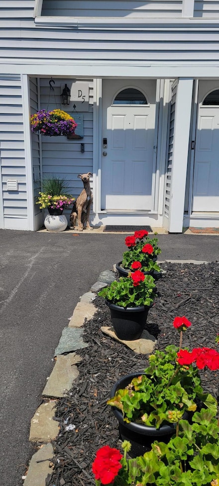 26 Walnut St Unit D5, Old Orchard Beach, ME 04064