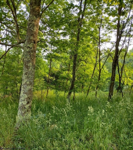 TBD Freeland Rd, Terra Alta, WV 26764