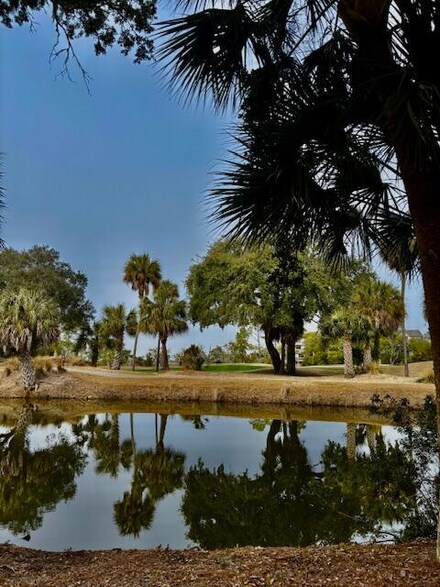 16 Twin Oaks Ln, Isle of Palms, SC 29451