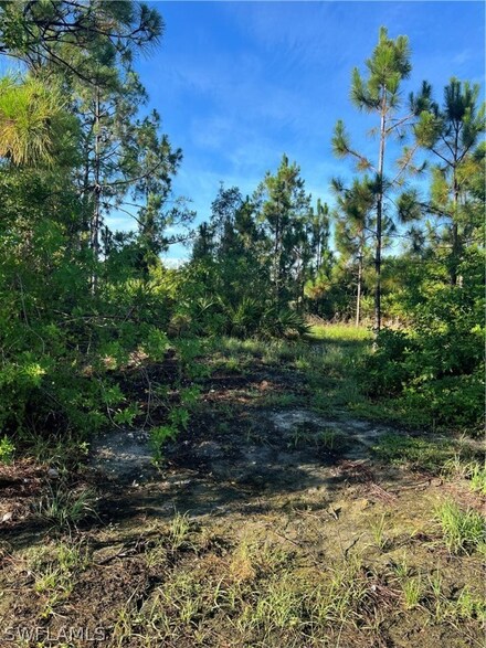2513 39th St SW, Lehigh Acres, FL 33976