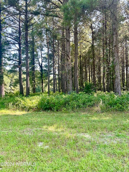 237 Winfall Cir, Edenton, NC 27932