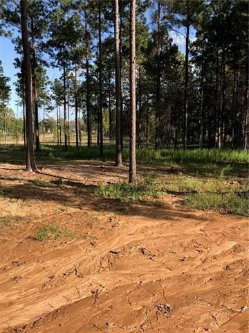 81 Herring Rd, Boyce, LA 71409
