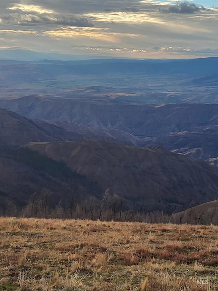 00 Cuddy Mountain Mineral Land, Cambridge, ID 83610