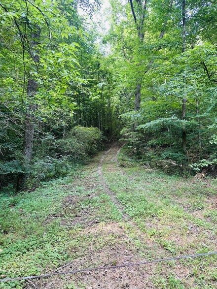 00 Higdon Rd, Whitwell, TN 37397
