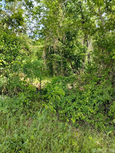 2 C R 43, Glenwood, AR 71943