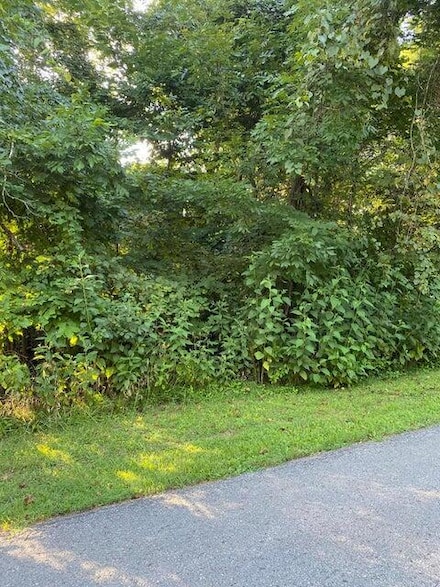 908 Stone Gate Dr, Burnside, KY 42519