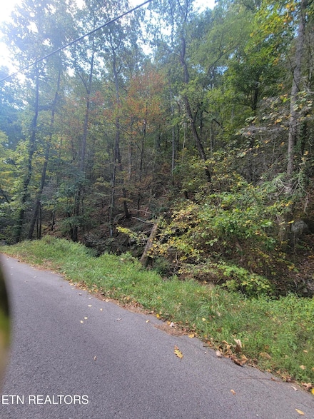 0 Alpine Dr Unit 1283013, Sevierville, TN 37876