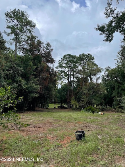 4071 Lazy Acres Rd, Middleburg, FL 32068