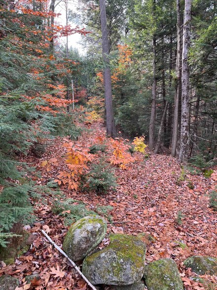 3 Chestnut St, Bristol, NH 03222