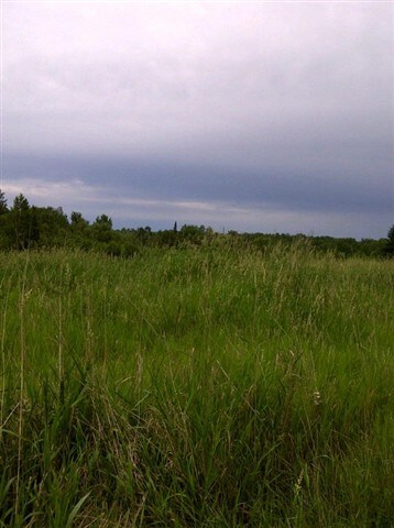 1980 Swede Lake Rd, Cromwell, MN 55726