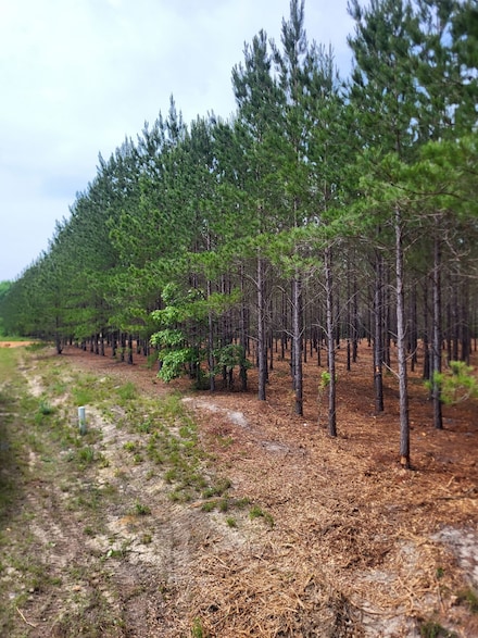 Hhf 2 Old Georgetown Rd W, Kershaw, SC 29067