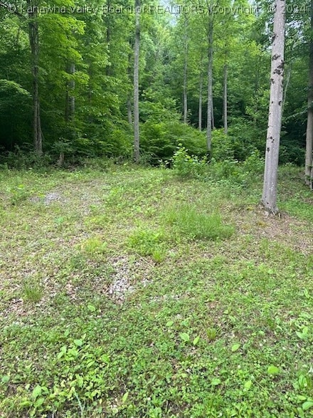 299 Woodbine Farms Rd, Scott Depot, WV 25560