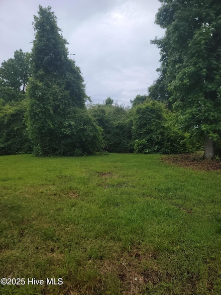 1513 Lincoln, New Bern, NC 28562