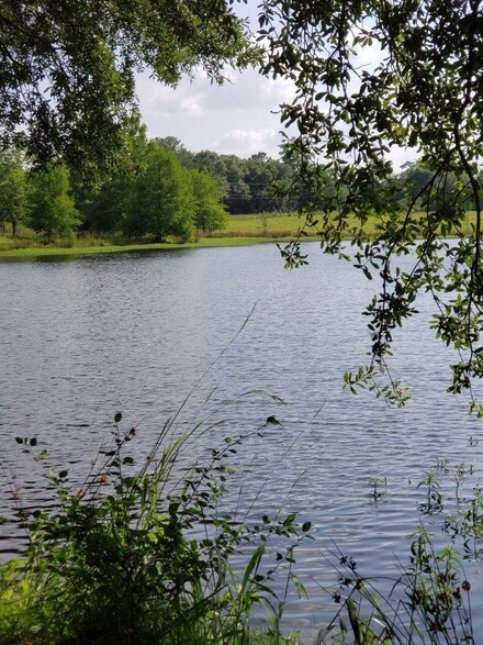 00 Wilcox Rd, Cairo, GA 39827