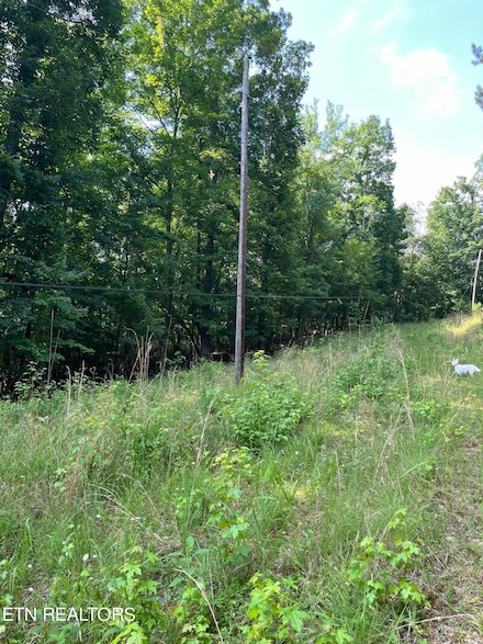 00 Willow Dr, Spring City, TN 37381