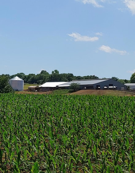 1907 Highway Kk, Cherkee Hmstd, MO 65613