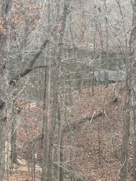 0 Winstone Ln, Bella Vista, AR 72715