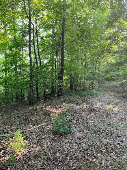 0 Poss Rd, Smithville, TN 37166