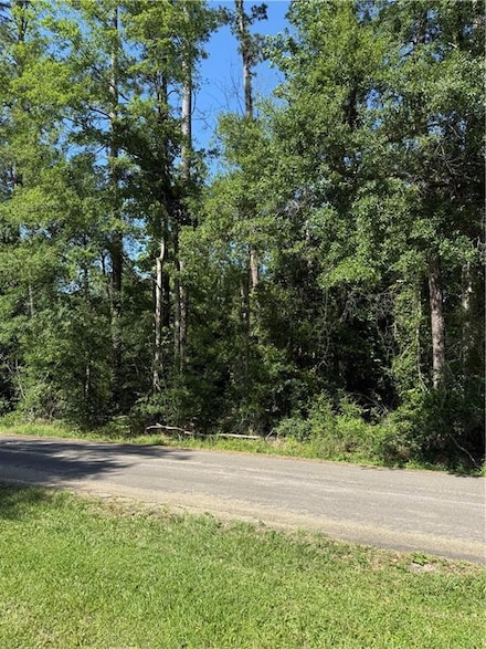 Lot 28-B Oak Hollow Dr, Hammond, LA 70401
