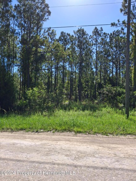 15262 Coot Rd, Weeki Wachee, FL 34614