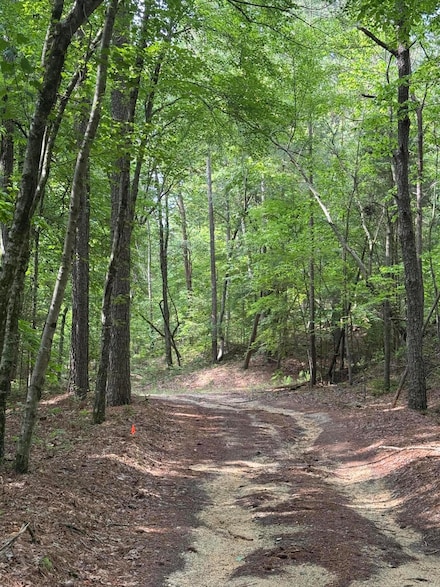0 Colbert Hollow Rd Unit 1513202, Rock Spring, GA 30739