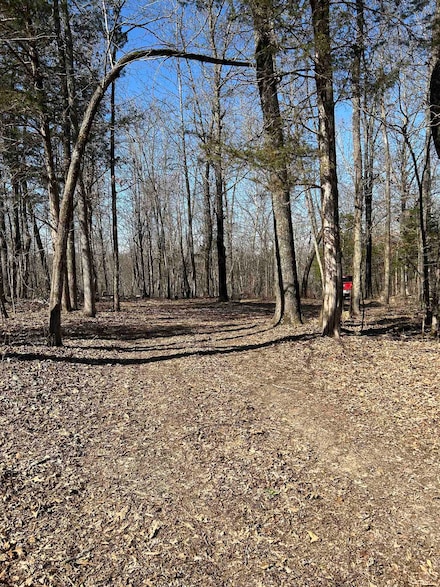 303 S Caney Springs Rd, Melbourne, AR 72556