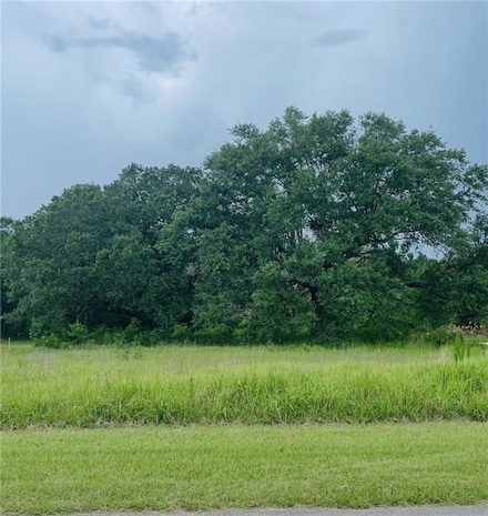 0 Hampton Ridge Ct Unit 7606266, Mobile, AL 36608