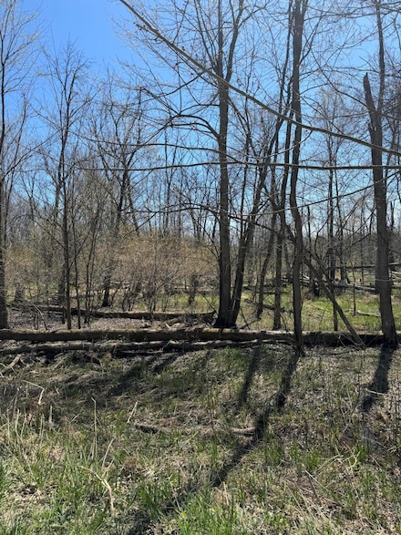 VL 18th Ave, Columbia Township, MI 49056