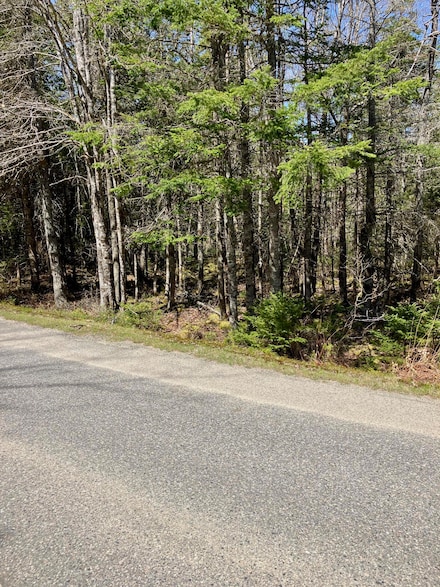 Lot 94 Yoho Head Rd, MacHiasport, ME 04655