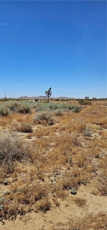 0 E Longhorn Unit SR22218839, Mojave, CA 93501