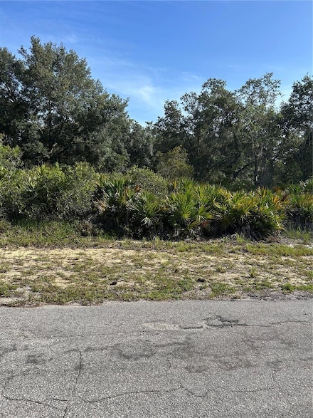 123 Hibiscus Dr, Lake Wales, FL 33855