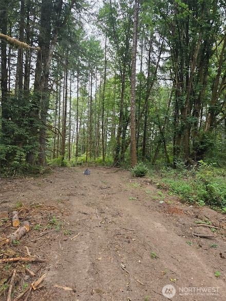 1725 Winlock-Vader Rd, Vader, WA 98596