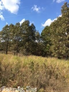 0 Turkey Springs Rd Unit 16031496, Highland, AR 72542