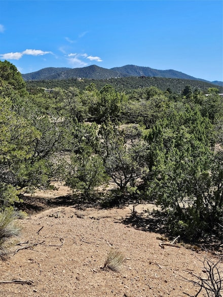 726 Avenue Castellano, Santa Fe, NM 87501